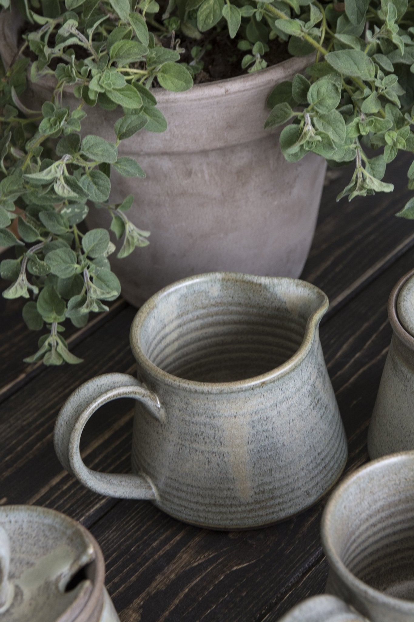 Small Green Sage Creamer - Mad About Pottery- creamer